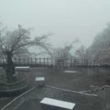 大月市のライブカメラ　積雪状況