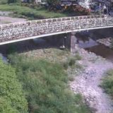 境川水系のライブカメラ